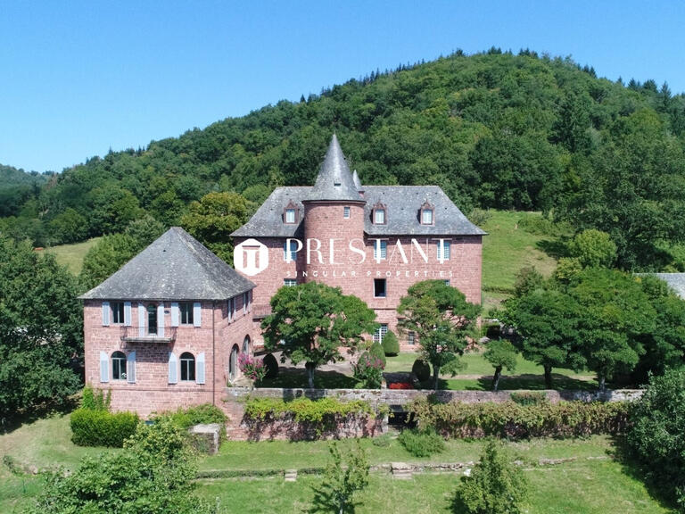 Château Meyssac - 7 chambres - 726m²