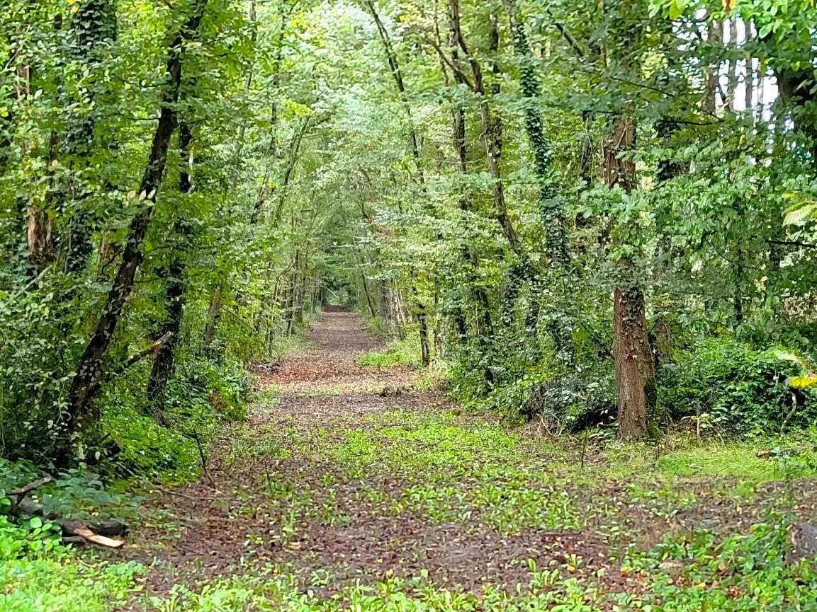 Propriété Mézières-en-Brenne