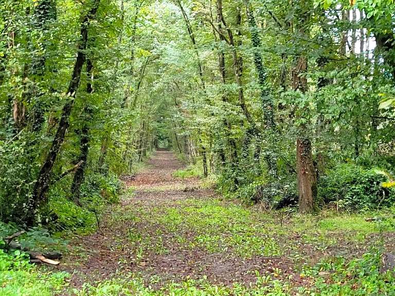 Propriété Mézières-en-Brenne - 3 chambres