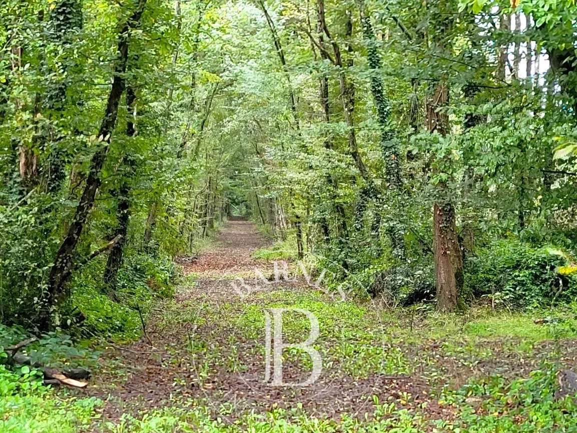 Propriété Mézières-en-Brenne