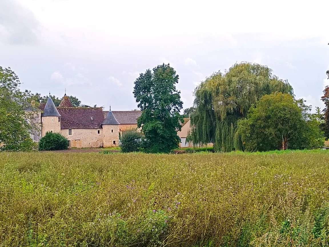 Propriété Mézières-en-Brenne