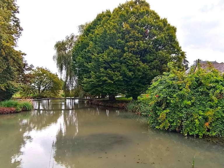 Propriété Mézières-en-Brenne - 3 chambres