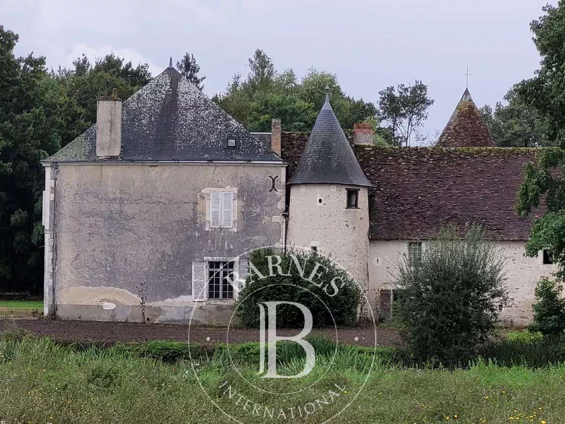 Propriété Mézières-en-Brenne
