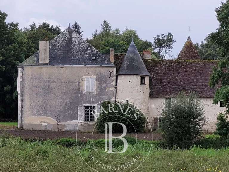 Propriété Mézières-en-Brenne - 3 chambres
