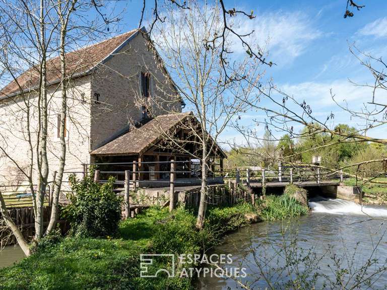 House Mézières-sur-Ponthouin - 6 bedrooms