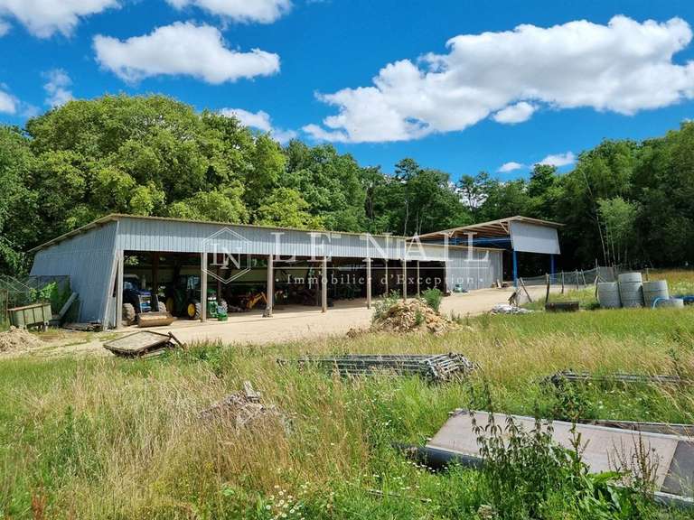 Propriété Migennes - 3 chambres - 450m²