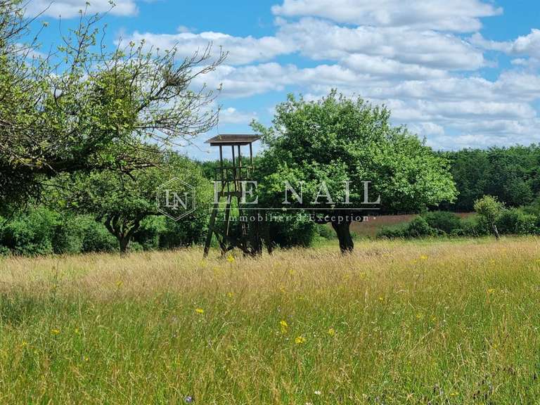 Propriété Migennes - 3 chambres - 450m²