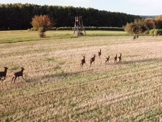 Propriété Migennes