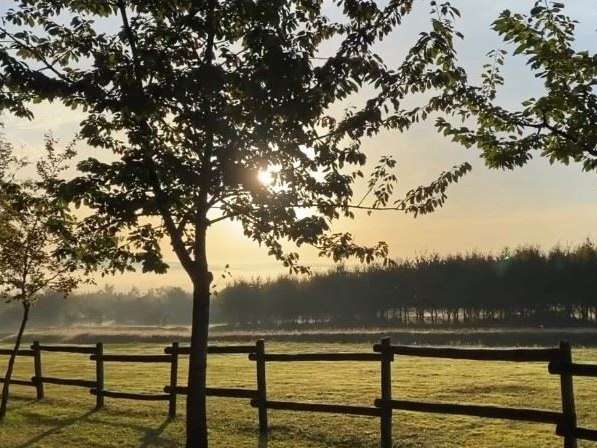 Property Migennes
