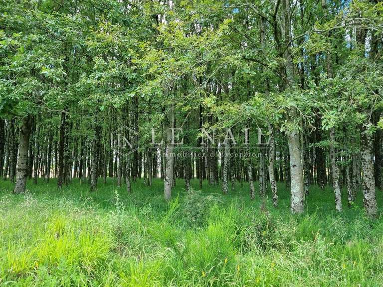 Propriété Migennes - 3 chambres - 450m²