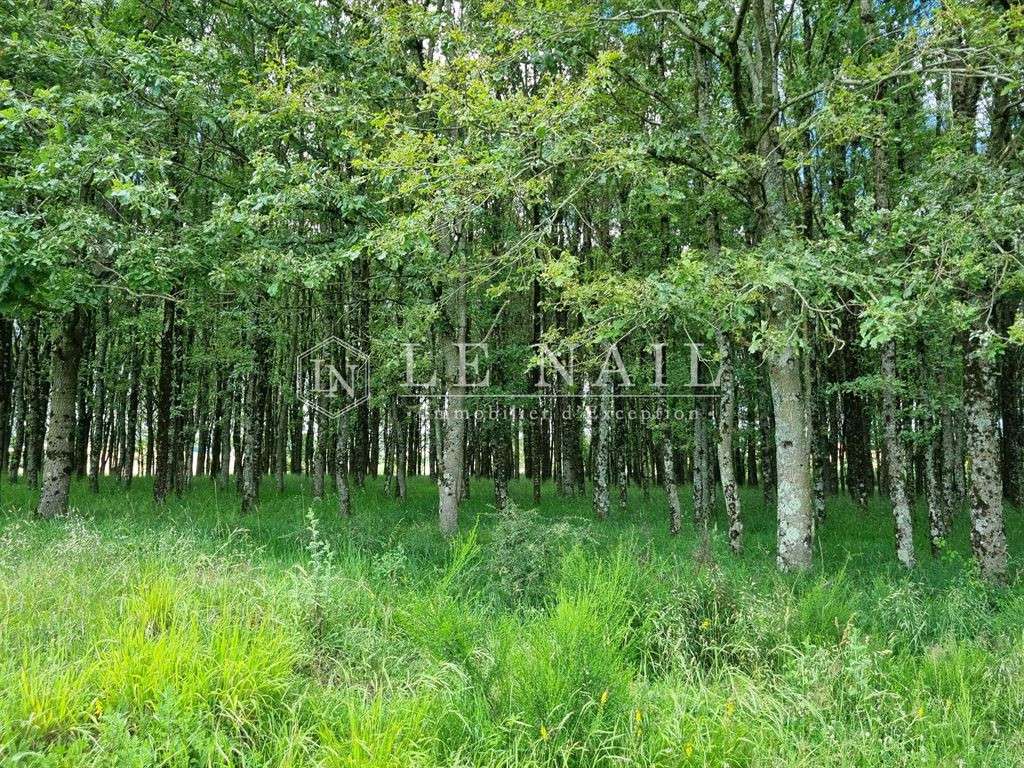 Property Migennes