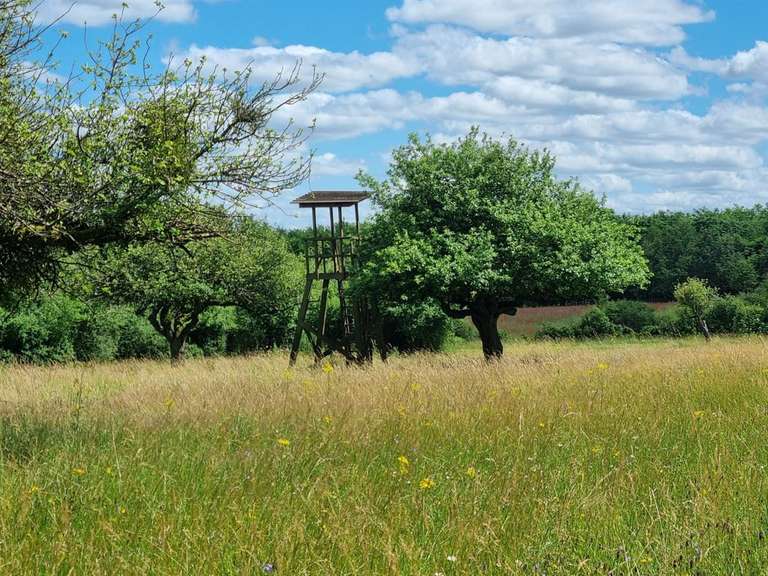 Propriété Migennes - 3 chambres - 450m²
