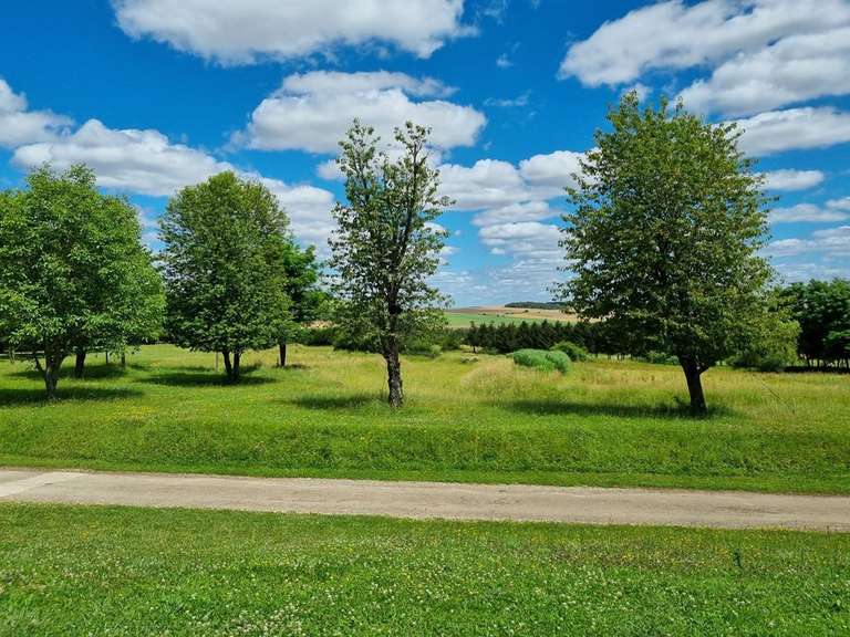 Propriété Migennes - 3 chambres - 450m²