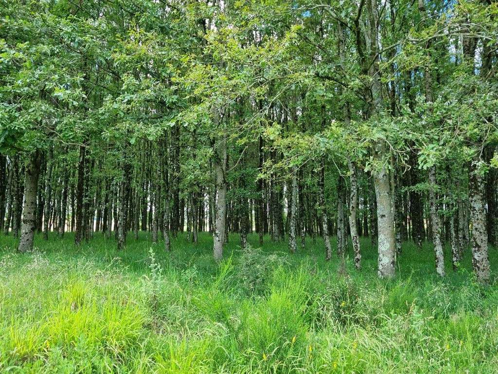 Propriété Migennes