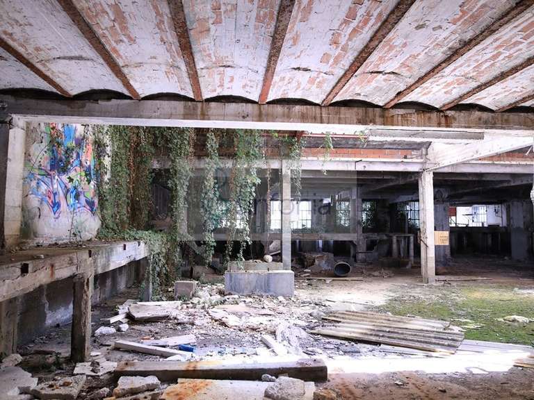 Terrain Millau - 8000m²