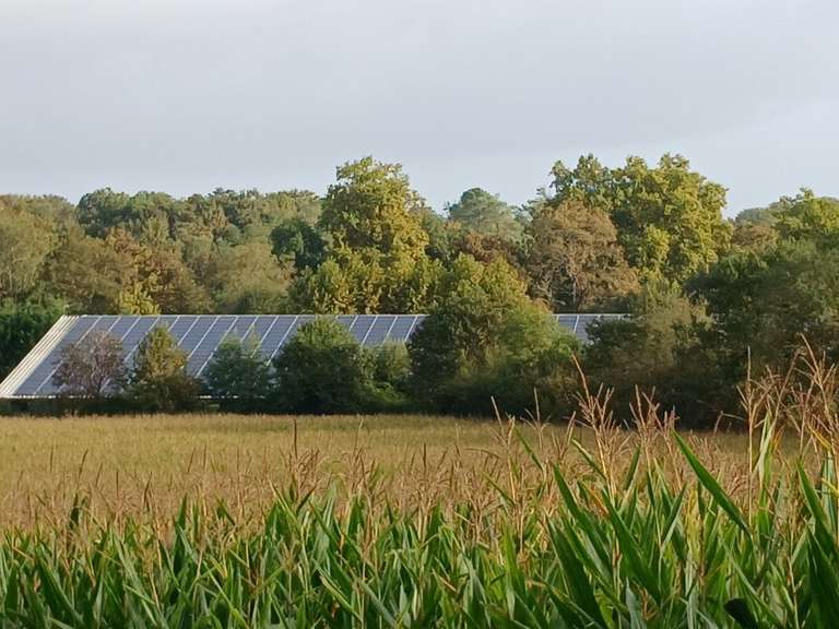 Maison Mimbaste - 6 chambres - 220m²