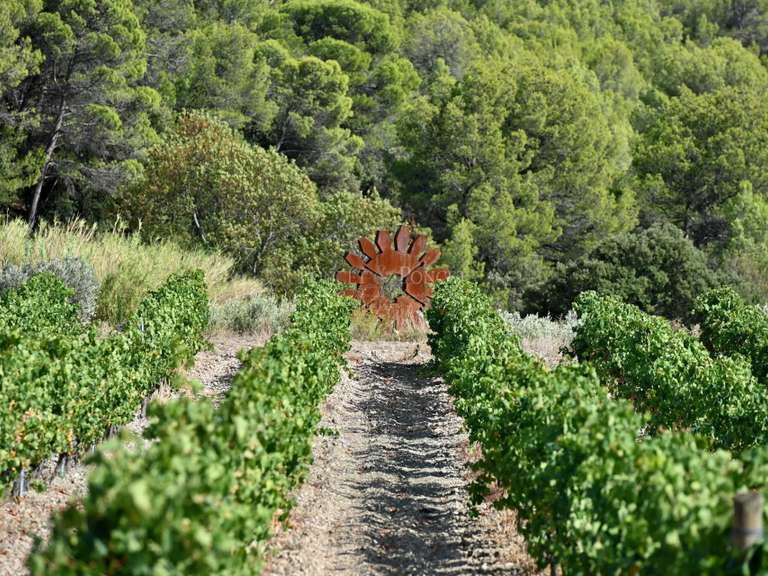 Domaine viticole Minerve - 2382m²