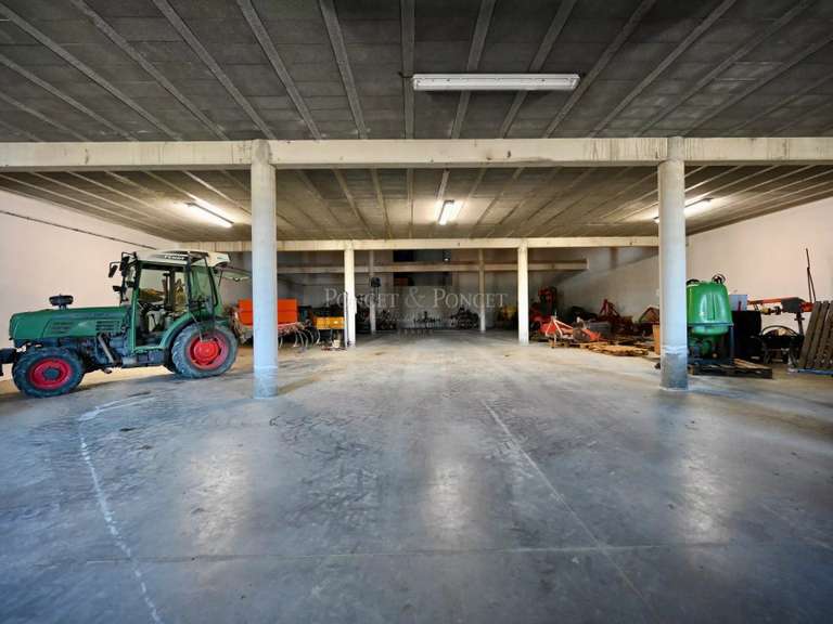 Domaine viticole Minerve - 2382m²