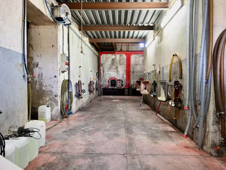 Domaine viticole Minerve - 2382m²