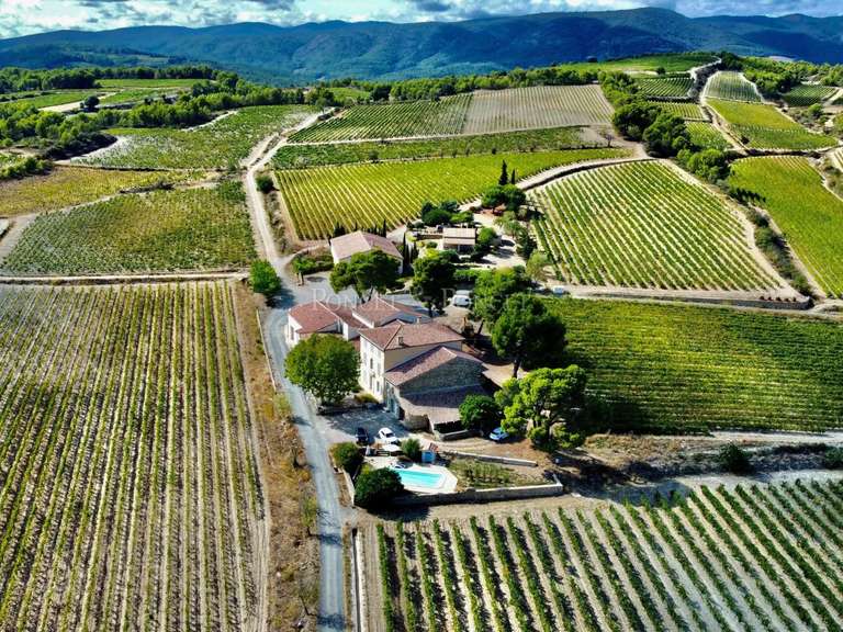 Domaine viticole Minerve - 2382m²