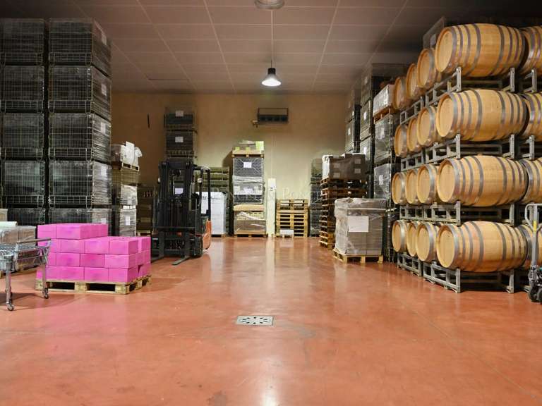 Domaine viticole Minerve - 2382m²