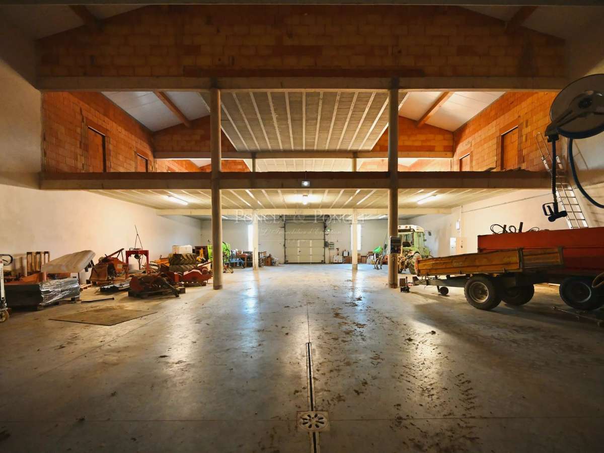 Domaine viticole Minerve