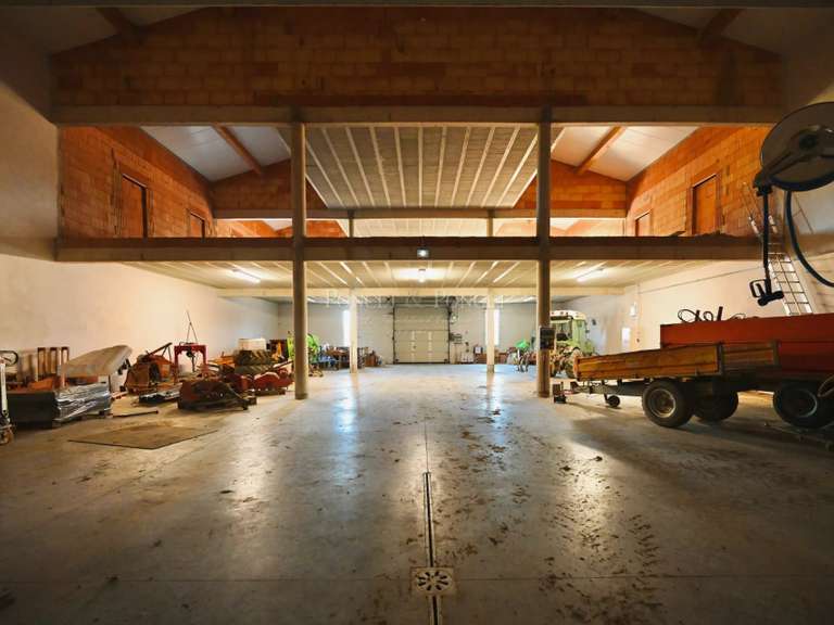 Domaine viticole Minerve - 2382m²