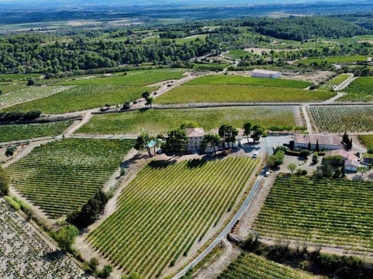 Domaine viticole Minerve - 2382m²