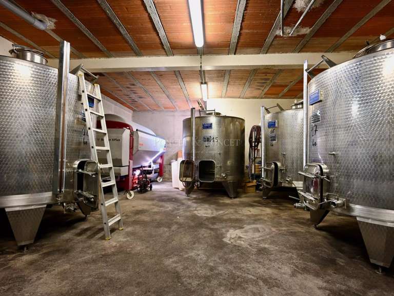 Domaine viticole Minerve - 2382m²