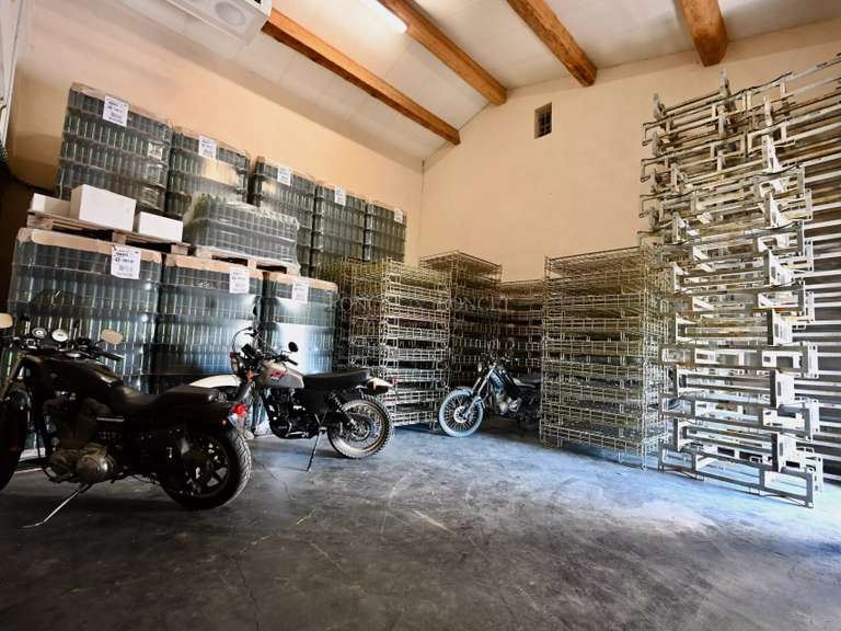 Domaine viticole Minerve - 2382m²