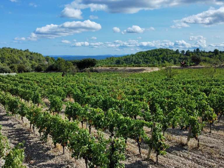 Domaine viticole Minerve - 2382m²