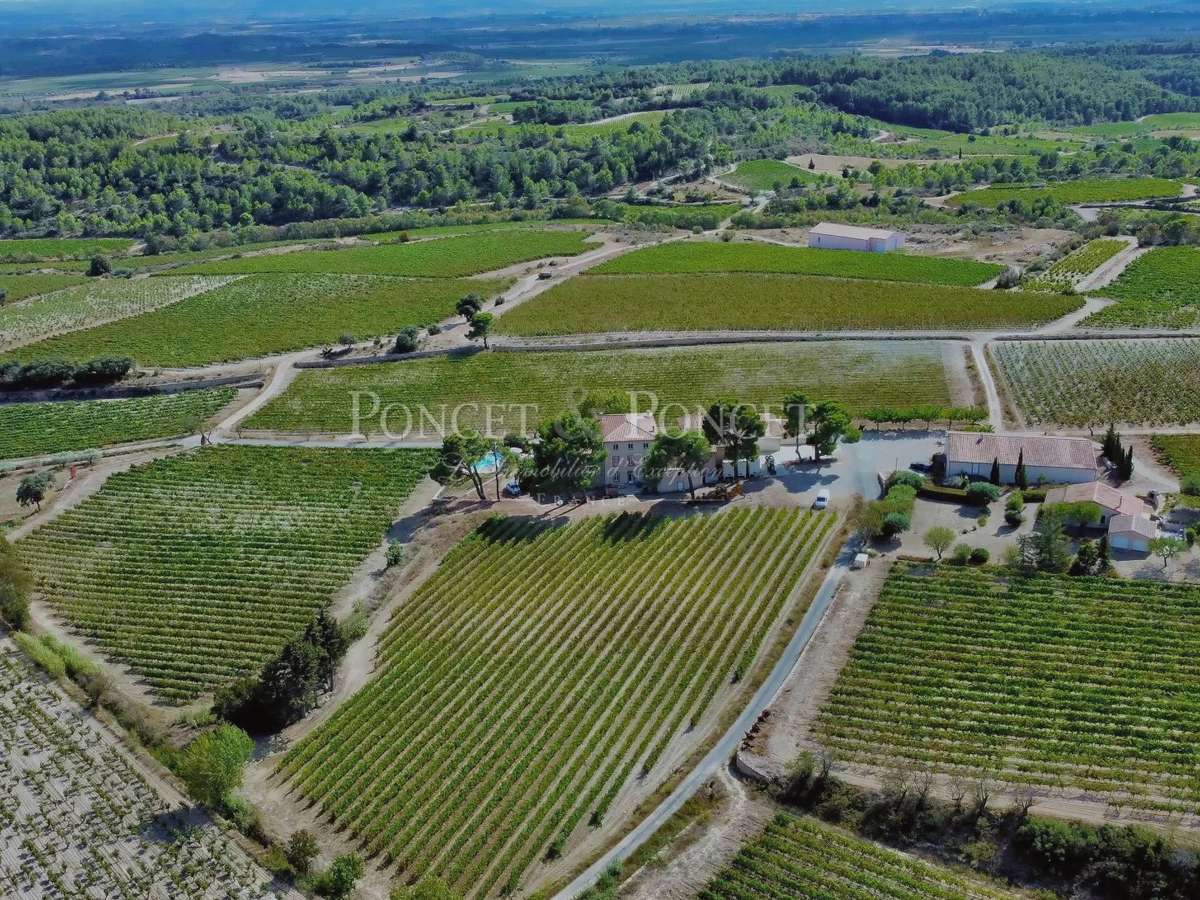 Domaine viticole Minerve