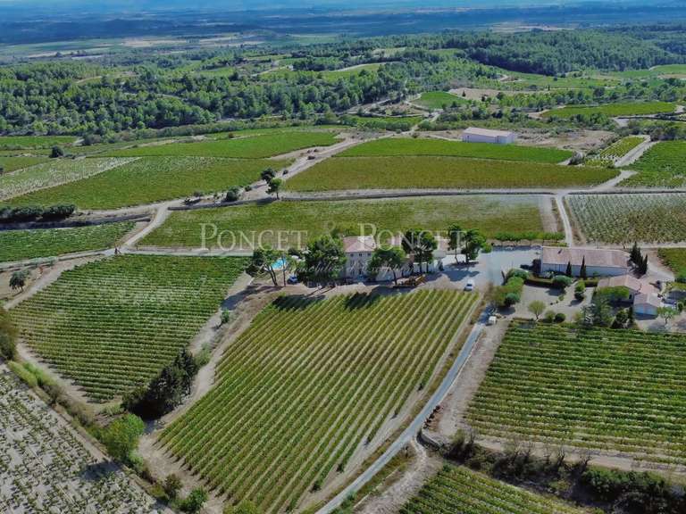 Domaine viticole Minerve - 2382m²