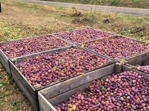 Propriété Mirabel - 60m²