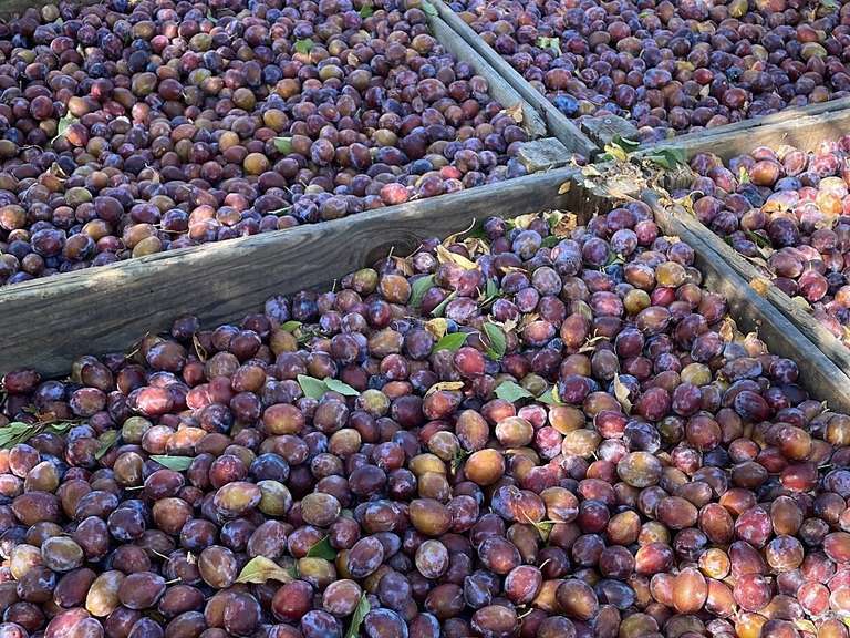 Propriété Mirabel - 60m²