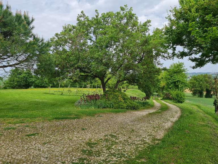 Maison Miradoux - 4 chambres - 294m²