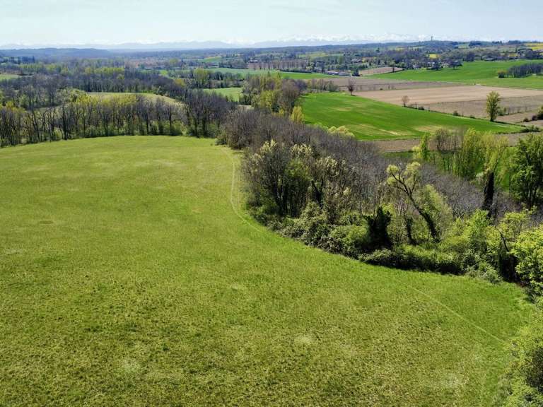 Maison Mirande - 520m²