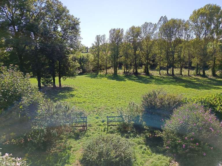 Maison Mirandol-Bourgnounac - 6 chambres - 325m²