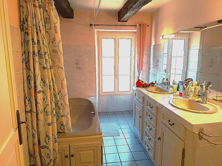 Maison Mirandol-Bourgnounac - 6 chambres - 325m²