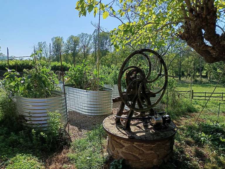Maison Mirandol-Bourgnounac - 6 chambres - 325m²