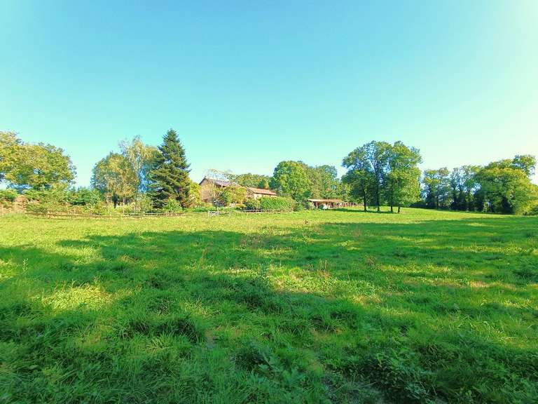 Maison Mirandol-Bourgnounac - 6 chambres - 325m²