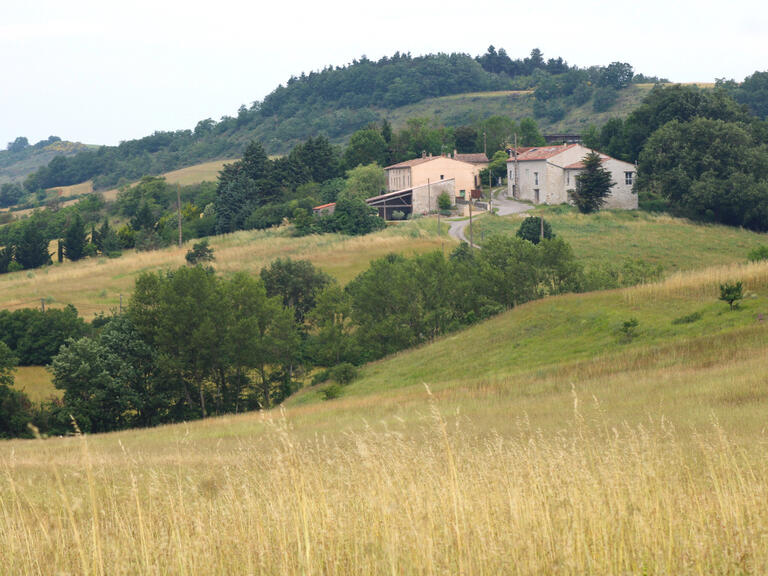 Maison Mirepoix - 10 chambres - 335m²