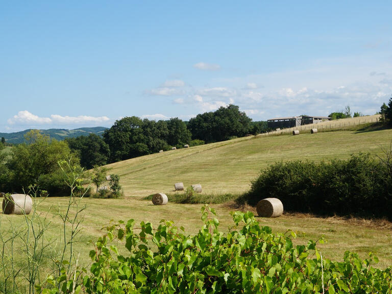 Maison Mirepoix - 10 chambres - 335m²