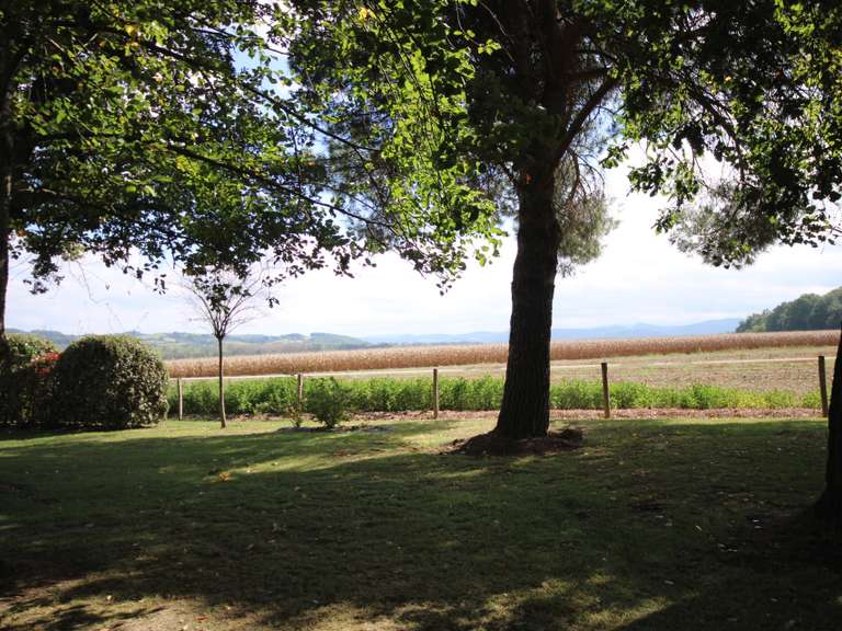 Maison Mirepoix - 7 chambres - 393m²