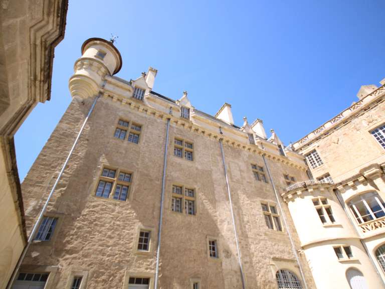 House Mirepoix - 5 bedrooms - 450m²