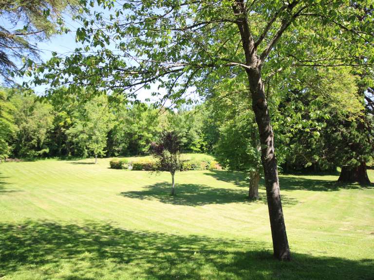 House Mirepoix - 5 bedrooms - 450m²