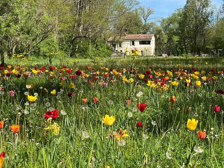 Maison Mirepoix - 4 chambres - 230m²