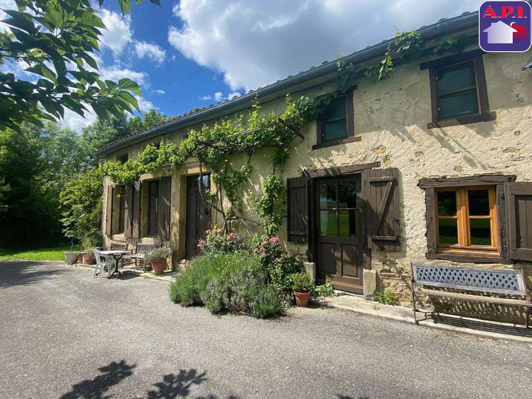 Maison Mirepoix - 4 chambres - 224m²