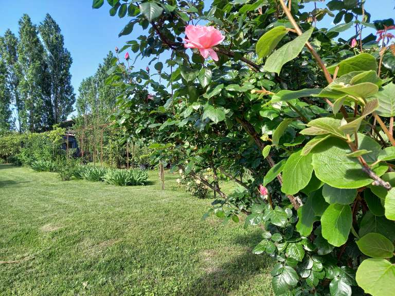 Maison Mirepoix - 3 chambres - 220m²