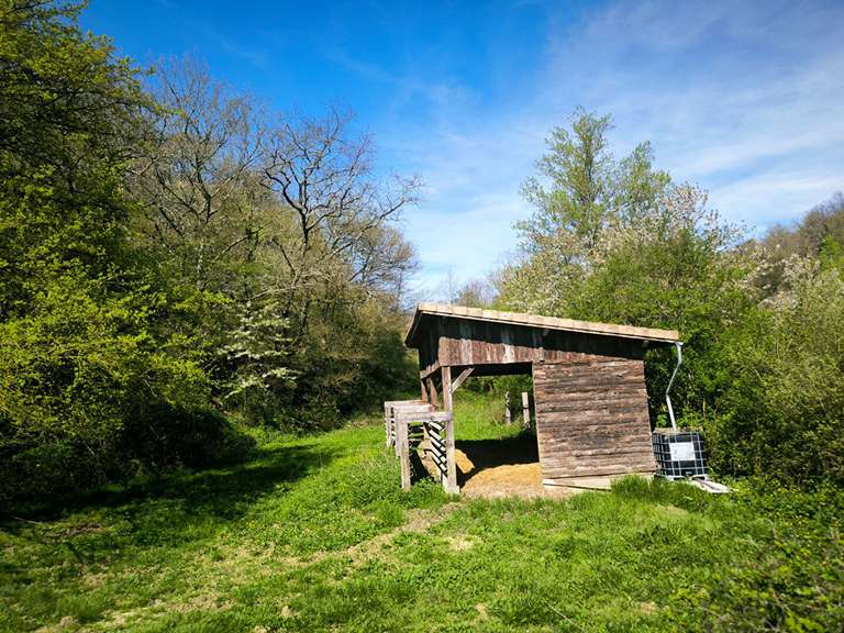 Maison Mirepoix - 3 chambres - 160m²
